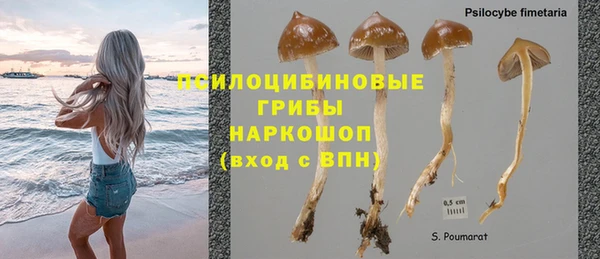 мяу мяу мука Алзамай
