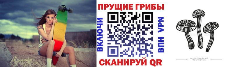 нарко площадка Telegram  Ставрополь  Галлюциногенные грибы Psilocybe  гидра ссылки 