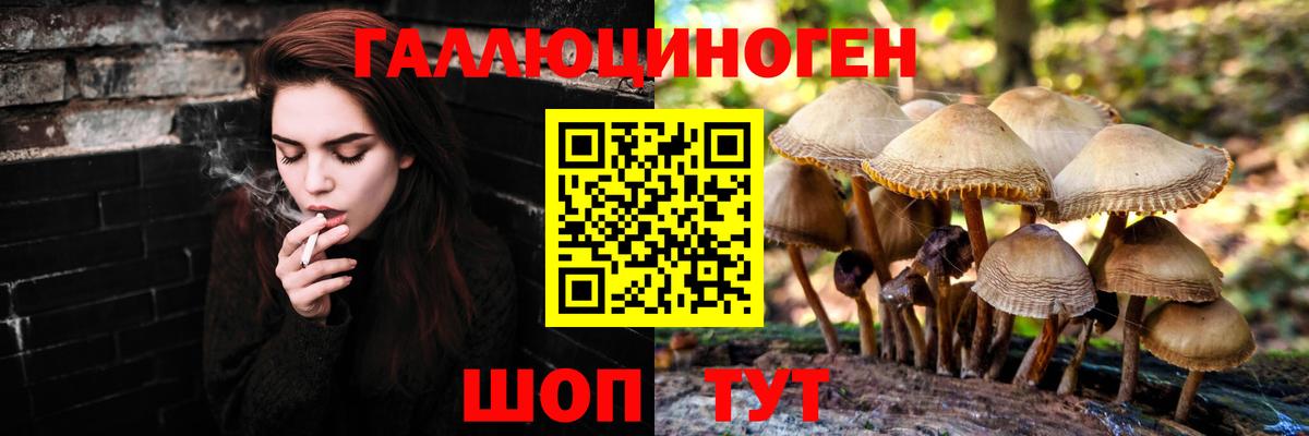 Псилоцибиновые грибы GOLDEN TEACHER  Вход с VPN  Ставрополь 