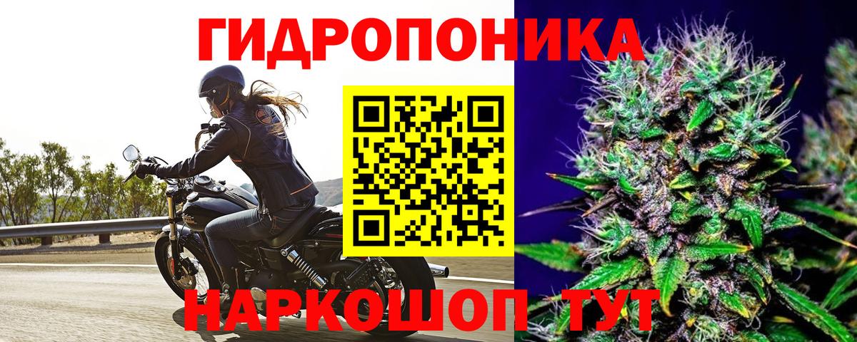 Конопля MAZAR Ставрополь